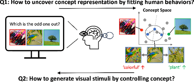 Figure 1 for CoCoG: Controllable Visual Stimuli Generation based on Human Concept Representations