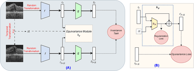 Figure 1 for Time-Equivariant Contrastive Learning for Degenerative Disease Progression in Retinal OCT