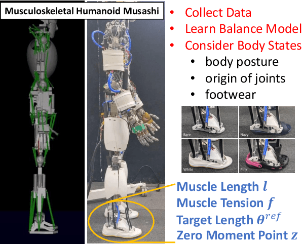 Figure 1 for Learning of Balance Controller Considering Changes in Body State for Musculoskeletal Humanoids