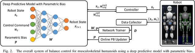 Figure 2 for Learning of Balance Controller Considering Changes in Body State for Musculoskeletal Humanoids