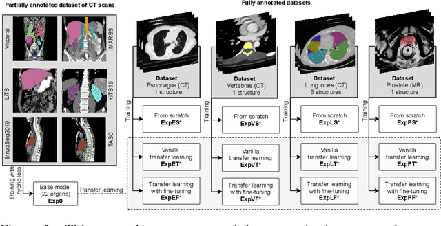 Figure 3 for Transfer learning from a sparsely annotated dataset of 3D medical images