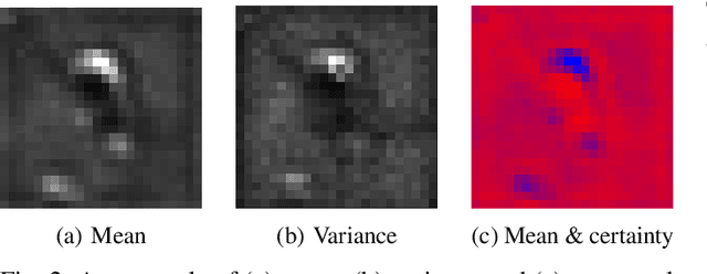 Figure 2 for Variational Voxel Pseudo Image Tracking