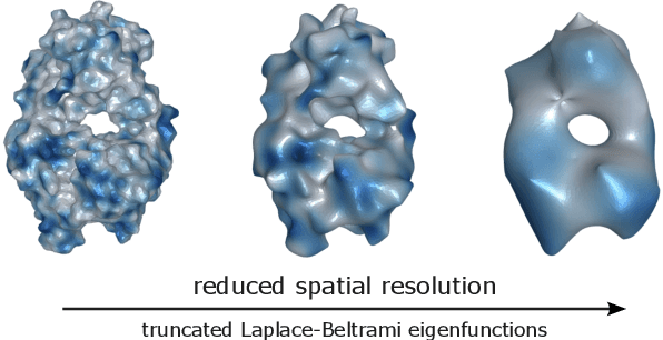 Figure 1 for Learning Harmonic Molecular Representations on Riemannian Manifold