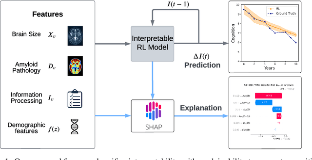 Figure 1 for Unifying Interpretability and Explainability for Alzheimer's Disease Progression Prediction