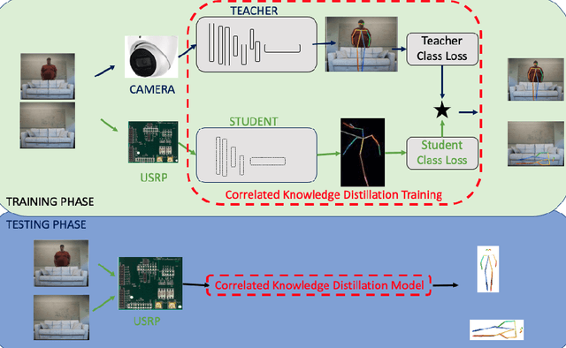 Figure 3 for On Correlated Knowledge Distillation for Monitoring Human Pose with Radios