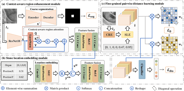 Figure 1 for Location embedding based pairwise distance learning for fine-grained diagnosis of urinary stones