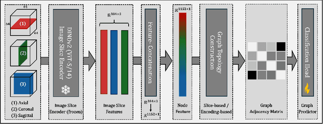 Figure 1 for Graph Neural Networks: A suitable Alternative to MLPs in Latent 3D Medical Image Classification?