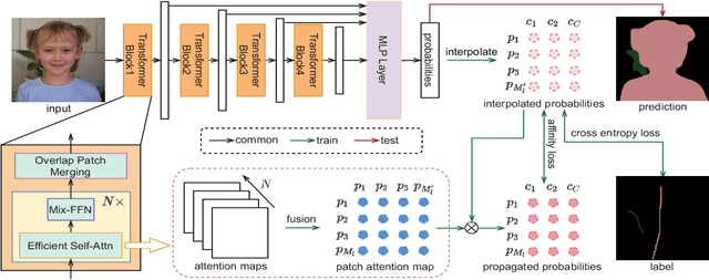 Figure 2 for SASFormer: Transformers for Sparsely Annotated Semantic Segmentation