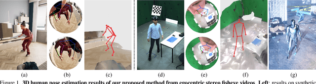 Figure 1 for 3D Human Pose Perception from Egocentric Stereo Videos