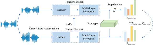 Figure 1 for Self-Distillation Prototypes Network: Learning Robust Speaker Representations without Supervision