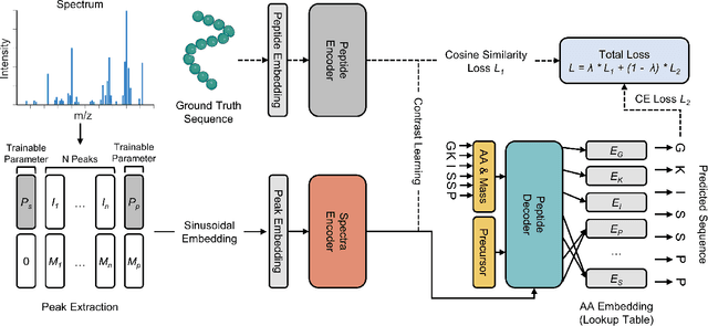 Figure 3 for ContraNovo: A Contrastive Learning Approach to Enhance De Novo Peptide Sequencing