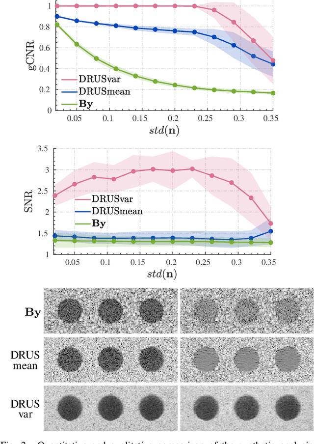 Figure 2 for Ultrasound Imaging based on the Variance of a Diffusion Restoration Model