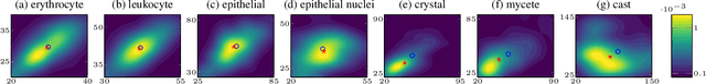 Figure 1 for Bounding Box Priors for Cell Detection with Point Annotations