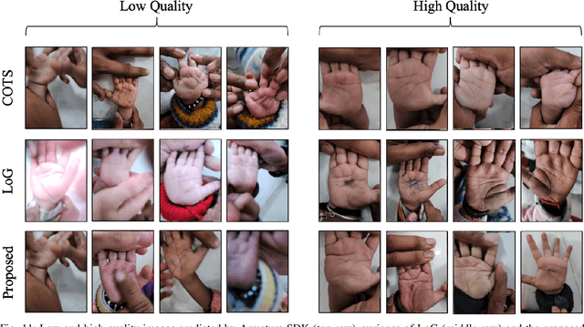 Figure 3 for Mobile Contactless Palmprint Recognition: Use of Multiscale, Multimodel Embeddings