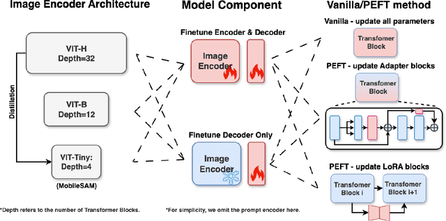 Figure 3 for How to build the best medical image segmentation algorithm using foundation models: a comprehensive empirical study with Segment Anything Model