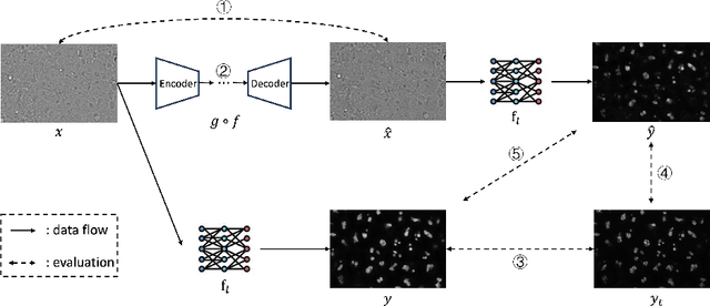 Figure 3 for Deep learning based Image Compression for Microscopy Images: An Empirical Study
