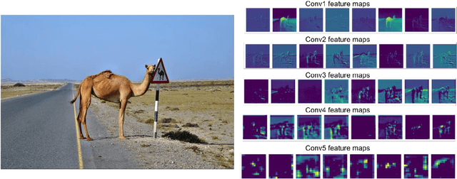 Figure 3 for Spot-the-Camel: Computer Vision for Safer Roads