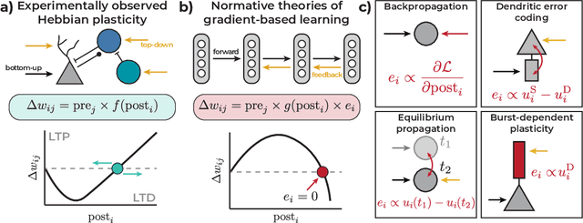 Figure 1 for Dis-inhibitory neuronal circuits can control the sign of synaptic plasticity