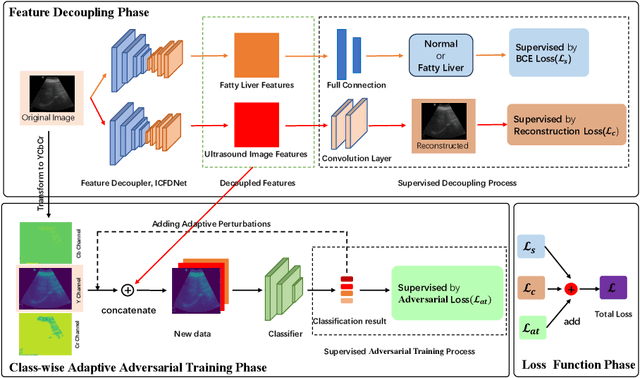 Figure 3 for Robustly Optimized Deep Feature Decoupling Network for Fatty Liver Diseases Detection