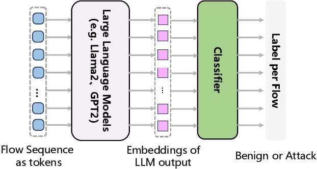 Figure 1 for DoLLM: How Large Language Models Understanding Network Flow Data to Detect Carpet Bombing DDoS