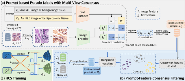 Figure 1 for VLM-CPL: Consensus Pseudo Labels from Vision-Language Models for Human Annotation-Free Pathological Image Classification