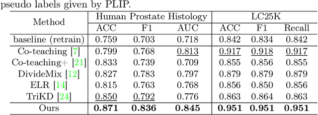 Figure 4 for VLM-CPL: Consensus Pseudo Labels from Vision-Language Models for Human Annotation-Free Pathological Image Classification