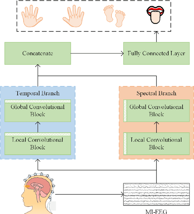 Figure 1 for EEG-DBNet: A Dual-Branch Network for Temporal-Spectral Decoding in Motor-Imagery Brain-Computer Interfaces