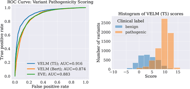 Figure 1 for Unsupervised language models for disease variant prediction