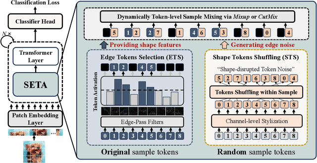 Figure 2 for SETA: Semantic-Aware Token Augmentation for Domain Generalization