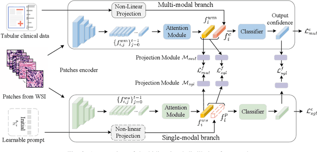 Figure 2 for Multi-modal Learning with Missing Modality in Predicting Axillary Lymph Node Metastasis