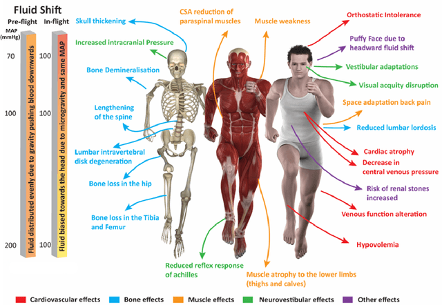 Figure 1 for Space Physiology and Technology: Musculoskeletal Adaptations, Countermeasures, and the Opportunity for Wearable Robotics