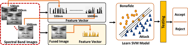 Figure 2 for Does complimentary information from multispectral imaging improve face presentation attack detection?