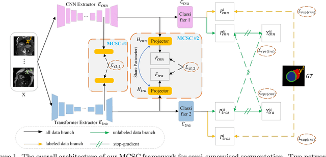 Figure 1 for Multi-Scale Cross Contrastive Learning for Semi-Supervised Medical Image Segmentation