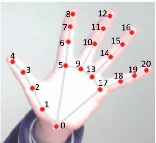 Figure 1 for Sign Language Recognition Based On Facial Expression and Hand Skeleton