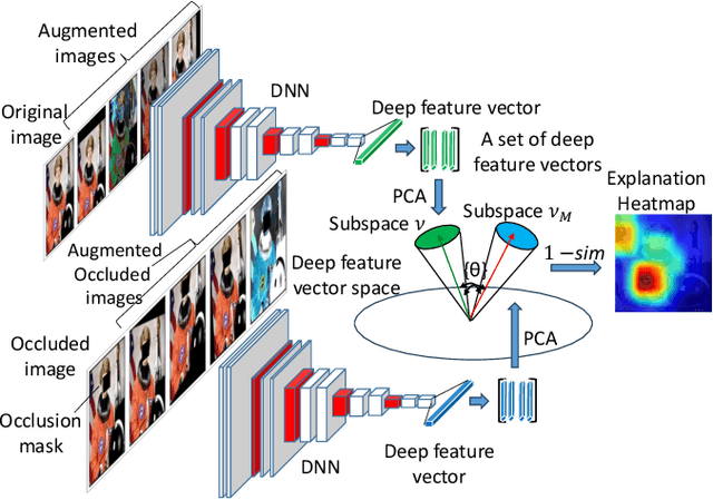 Figure 1 for Occlusion Sensitivity Analysis with Augmentation Subspace Perturbation in Deep Feature Space