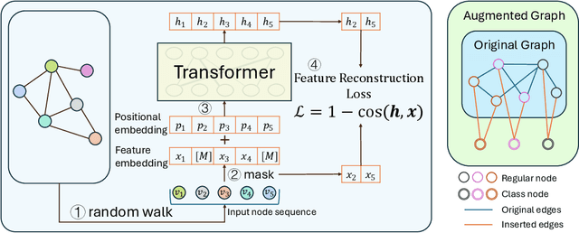 Figure 3 for A Pure Transformer Pretraining Framework on Text-attributed Graphs