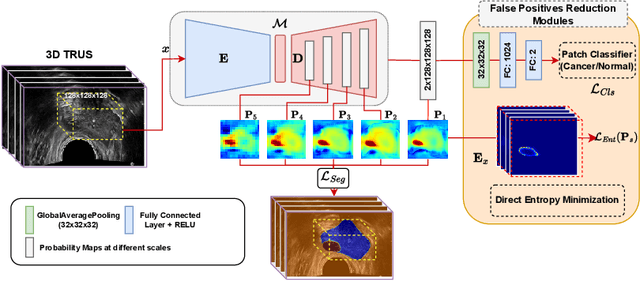 Figure 1 for ProsDectNet: Bridging the Gap in Prostate Cancer Detection via Transrectal B-mode Ultrasound Imaging