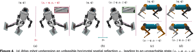 Figure 4 for Morphological Symmetries in Robotics