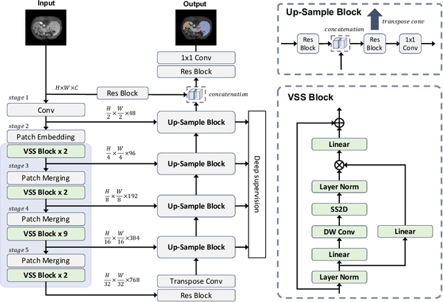 Figure 1 for Swin-UMamba: Mamba-based UNet with ImageNet-based pretraining