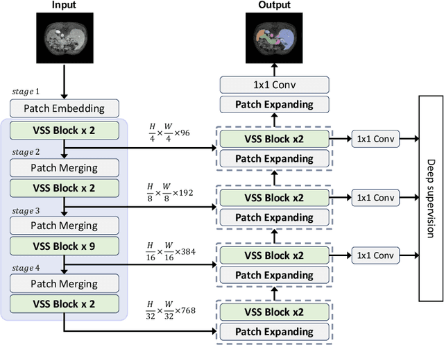 Figure 3 for Swin-UMamba: Mamba-based UNet with ImageNet-based pretraining