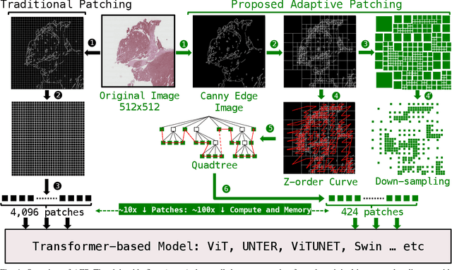 Figure 1 for Adaptive Patching for High-resolution Image Segmentation with Transformers