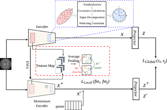 Figure 3 for Overcoming Dimensional Collapse in Self-supervised Contrastive Learning for Medical Image Segmentation