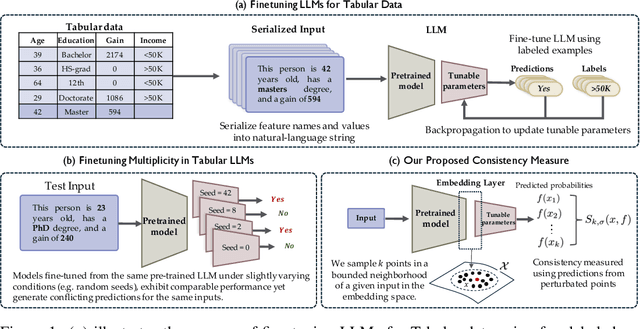 Figure 1 for Quantifying Prediction Consistency Under Model Multiplicity in Tabular LLMs