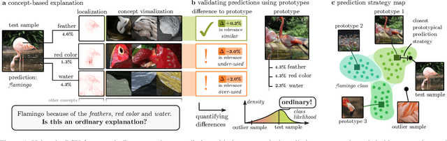 Figure 1 for Understanding the (Extra-)Ordinary: Validating Deep Model Decisions with Prototypical Concept-based Explanations