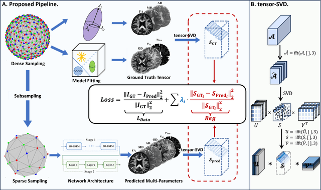 Figure 2 for DeepMpMRI: Tensor-decomposition Regularized Learning for Fast and High-Fidelity Multi-Parametric Microstructural MR Imaging