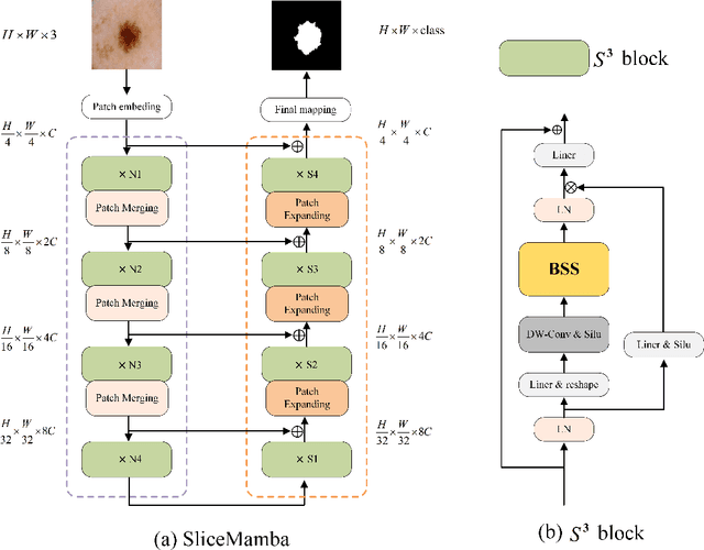 Figure 3 for SliceMamba for Medical Image Segmentation