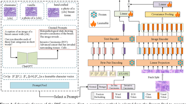 Figure 1 for PM2: A New Prompting Multi-modal Model Paradigm for Few-shot Medical Image Classification