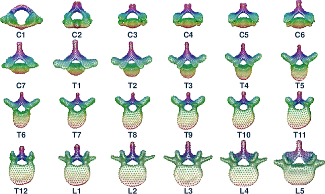 Figure 4 for Point2SSM++: Self-Supervised Learning of Anatomical Shape Models from Point Clouds