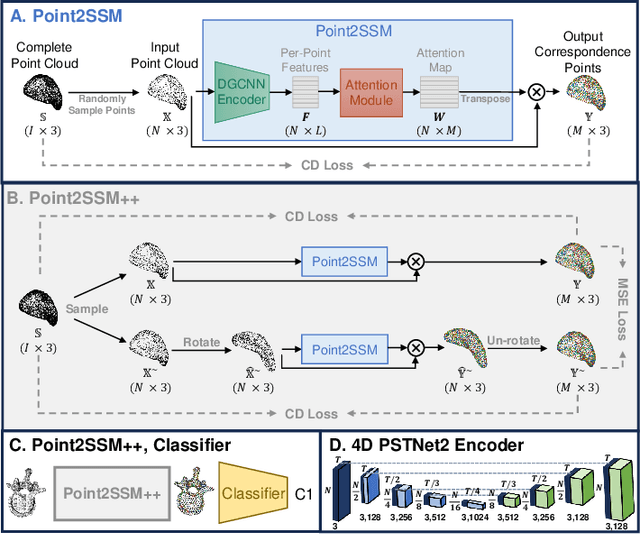 Figure 1 for Point2SSM++: Self-Supervised Learning of Anatomical Shape Models from Point Clouds