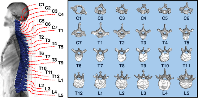 Figure 2 for Point2SSM++: Self-Supervised Learning of Anatomical Shape Models from Point Clouds